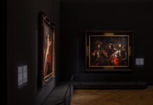 Cinque mostre a Roma, tra arte, sostenibilità e memoria visiva